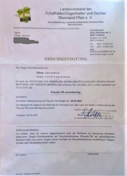 Pseudo-TB 2021